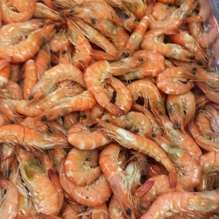 Crevettes roses achat vente en ligne de produits frais de Bretagne !